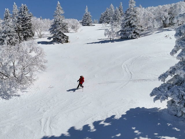 広々としたバーンを自在に滑った