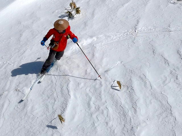 表面はクラスト気味でも中はフカフカ
