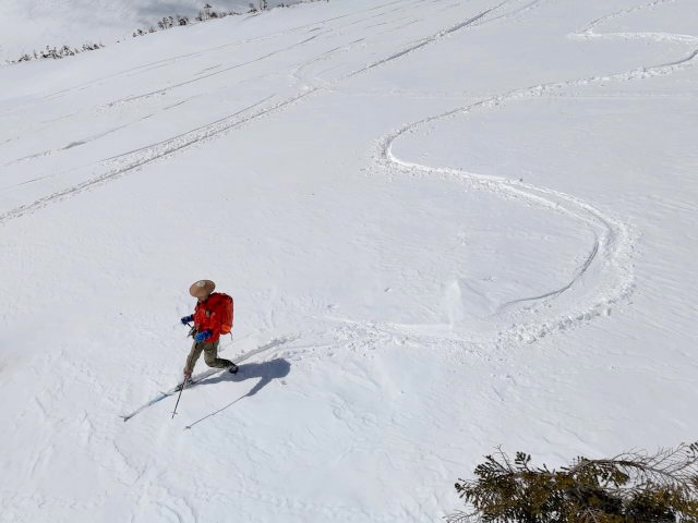 傾斜が緩ければなんとかスキーになった