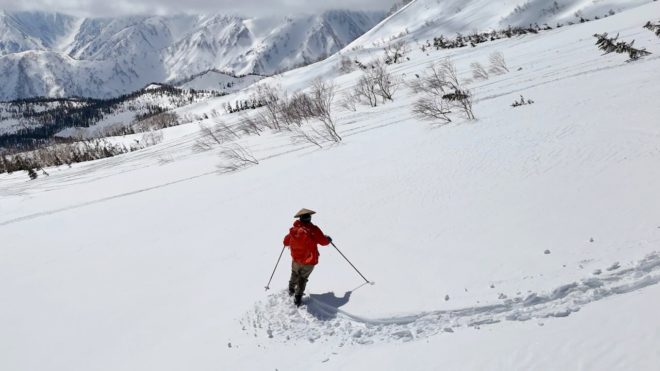 雪が重いと歯が立たない