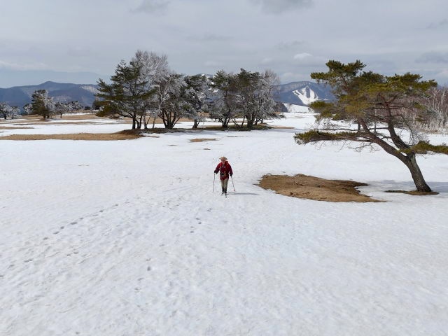 うっすらと残った雪をたどって進む