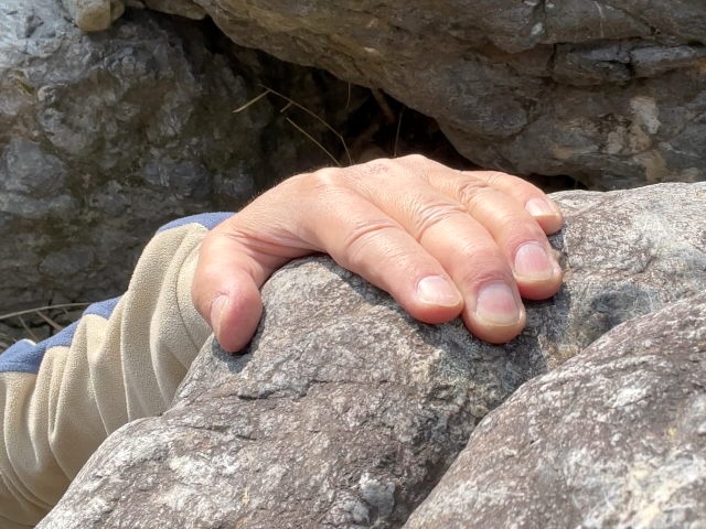 オープンハンド