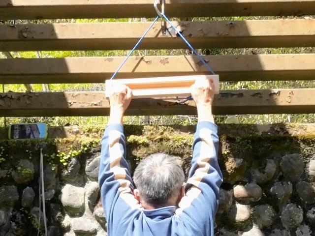 フィンガーボード